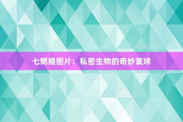 七鳃鳗图片：私密生物的奇妙寰球