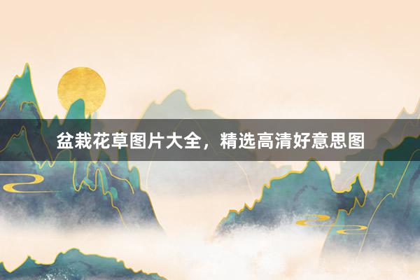 盆栽花草图片大全，精选高清好意思图